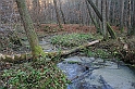 Rostoczek 11.2008 440